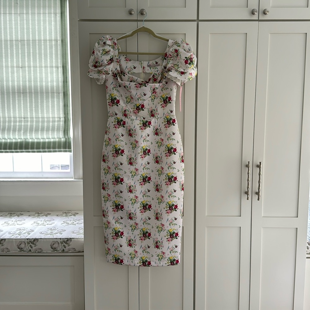 Damaris Bailey rose dress  floral dress medium rare